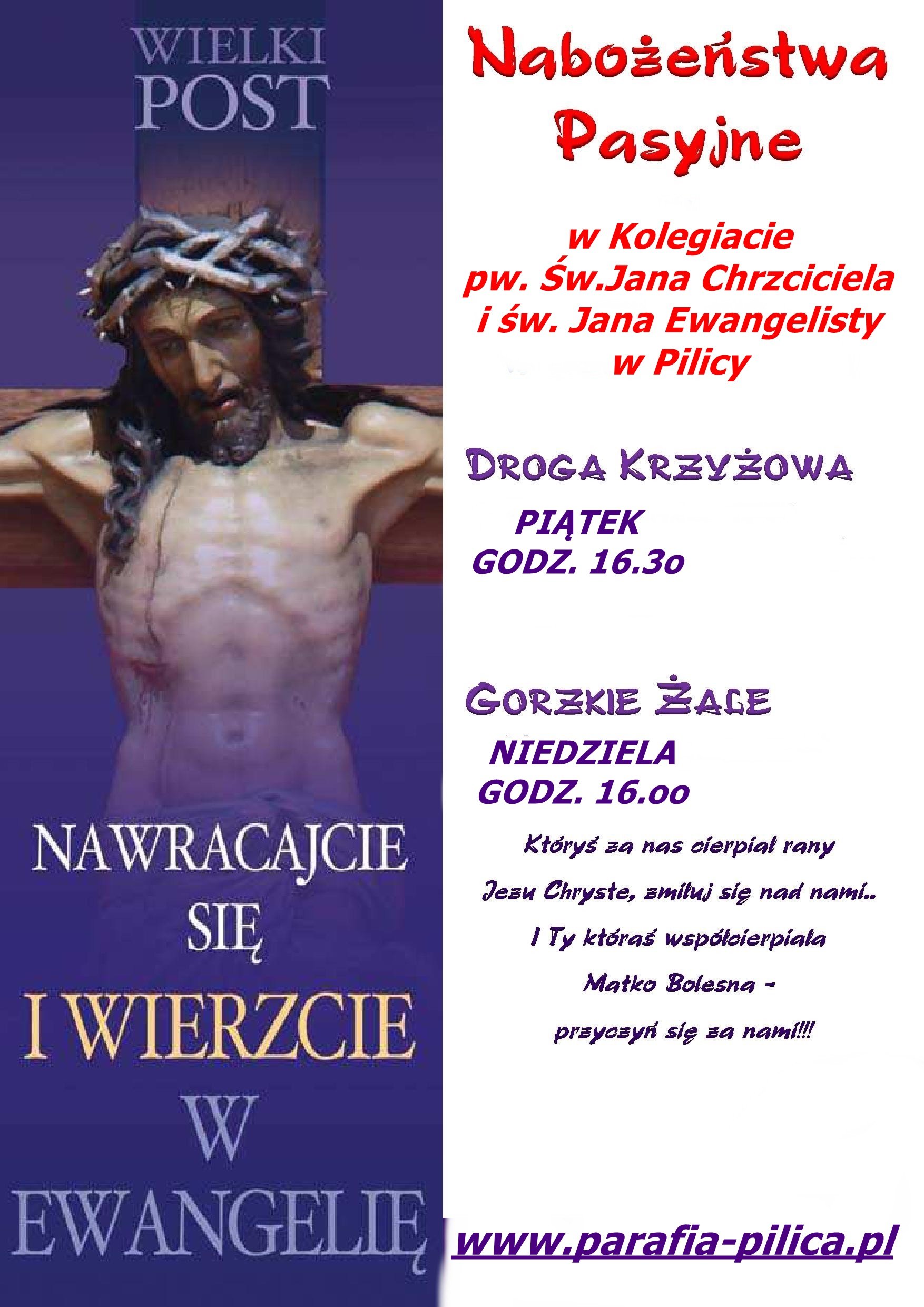 wp_post 2019